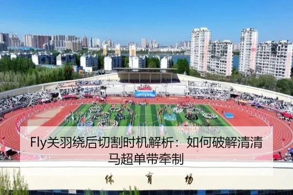 Fly关羽绕后切割时机解析：如何破解清清马超单带牵制